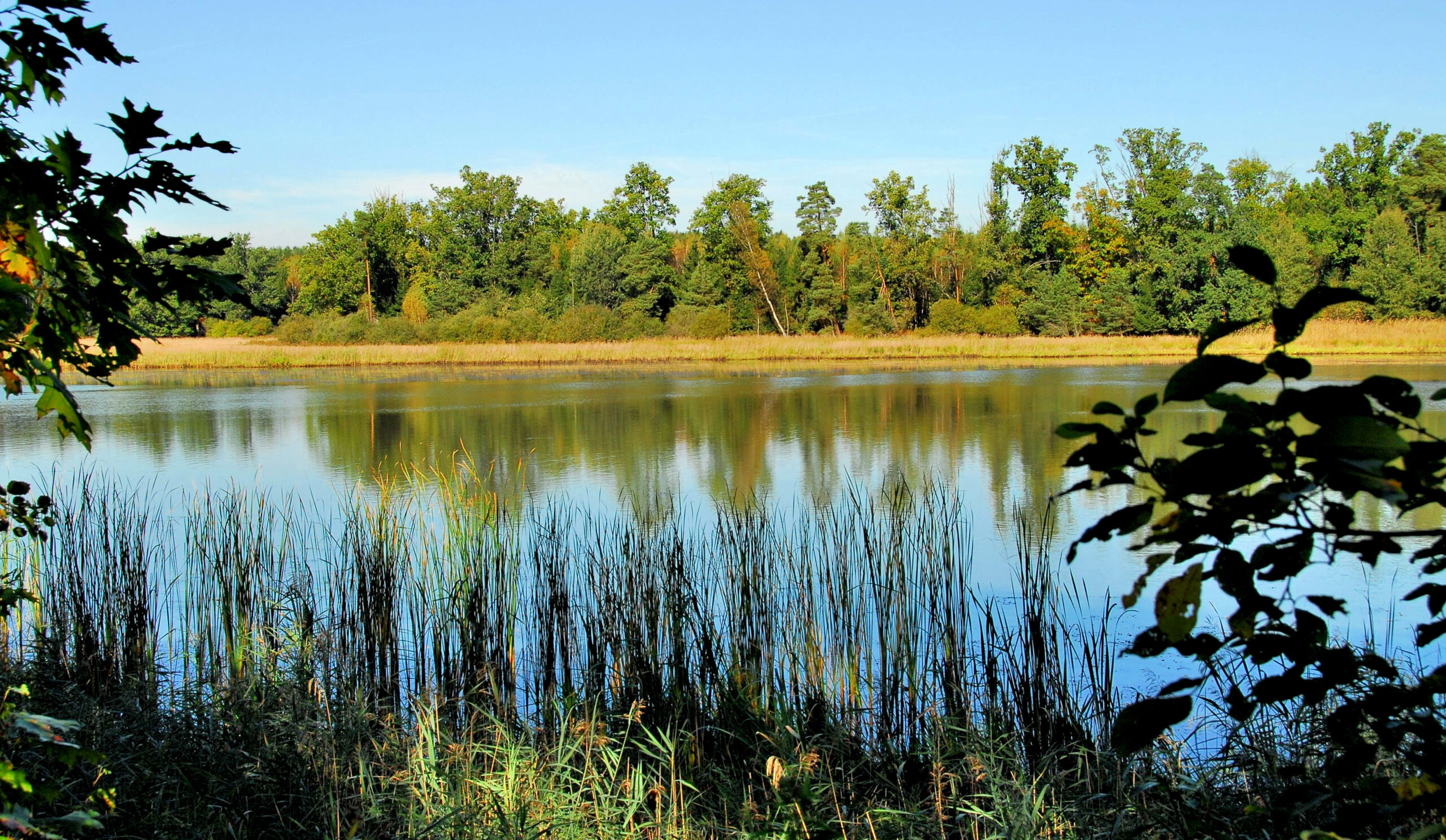 Mariazeller Preis 2024/25 – Kategorie Eigenjagd